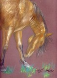 by Tami Dykes