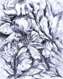 by Marilyn Barton