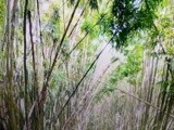 by Barry Huyett
