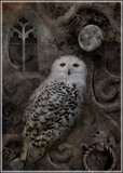 by Angela Jayne Barnett