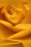 by Greg Summers