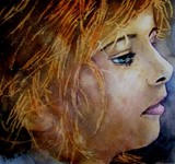 by gerard nicolle