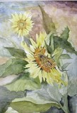 by Carol Lincker