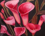 by Rose Ray