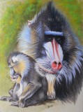 by Barbara Keith