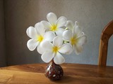 by Nilantha Lokunarangode