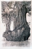by GRAEME BALCHIN
