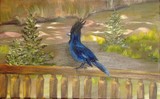 by dawnae zobrist