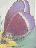 by lynette rate
