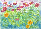 by cathie richardson