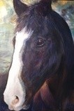 by Grace Engel