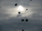 by Heli Aarniranta