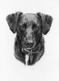 by Wendy Poulton