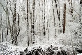 by Brandi McGann