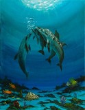 by jennifer  belote