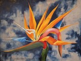 by Marjorie Huwa
