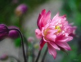 by Bill M
