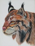 by diane deason