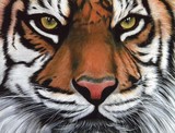 by diane deason