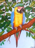 by Annette  Jimerson