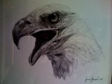 by Jenna Frazier