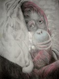 by iuliana sava