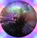 by Stefani Wehner