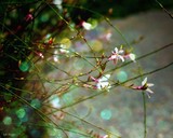 by Julie Kruger