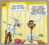 by A.F Branco