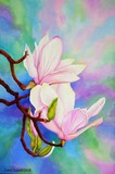 by Carol Sabo