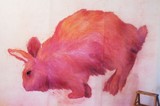by Tamara Murakami-Baxter