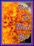 by swayam 