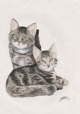 by Gem Kitching