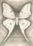 by Kathryn Kelton