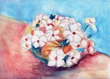 by Carole Clark