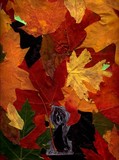 by Mark Kokopelli Watkins, Artist