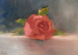 by Debi Hinshaw
