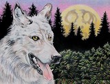 by Kimberlee Edgar