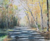 by cindy kelly