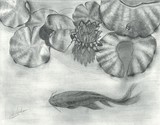 by Nevin 