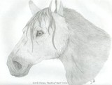 by Chrissy Neff