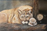 by Brooklyn Hill