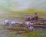 by Nabashis Dev Misra