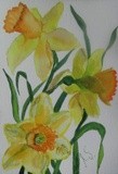 by Irina Stroup