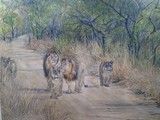 by Trudy Barlow