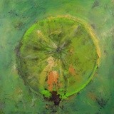 by Trish Spence