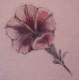 by Dana Koffenberger