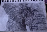 by Isobel Macdonald