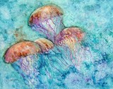 by Edie Schneider
