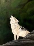 by Rosalyn Simkins